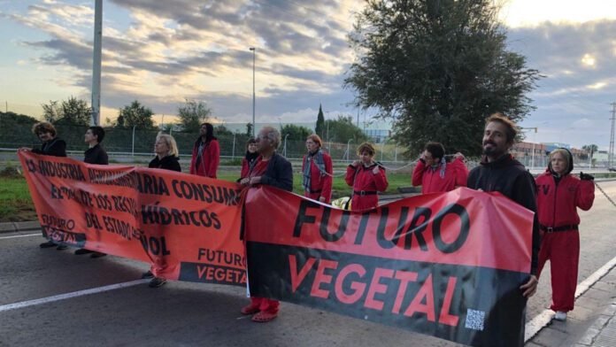 activismo climático