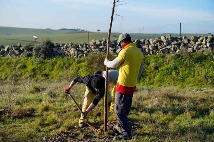 Arco Verde a su paso por Colmenar Viejo