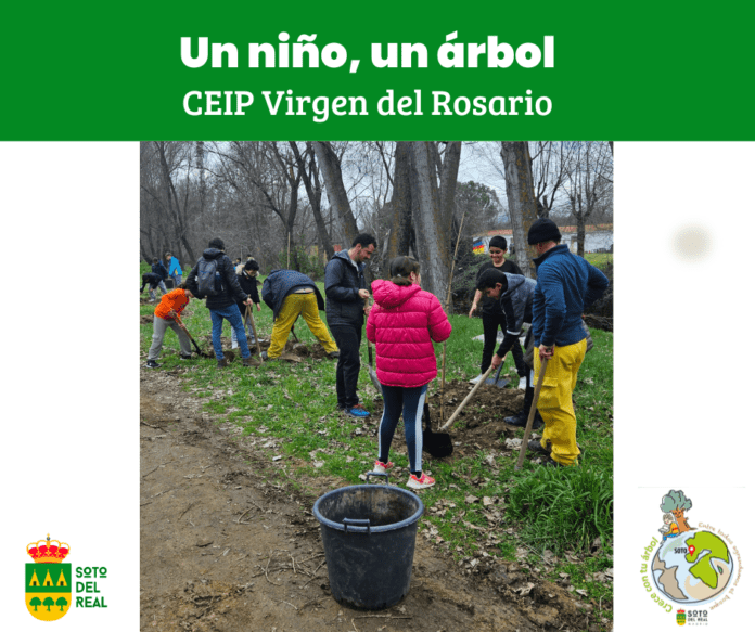 un niño un arbol en soto del real
