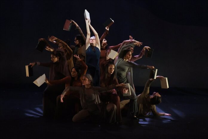 cancelación del festival de flamenco cancelación del festival de flamenco