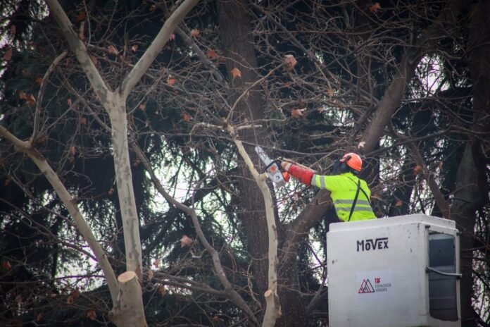 El Ayuntamiento convoca el miércoles el Consejo Cívico y Social del Paisaje de la Luz tras un año sin reunirlo