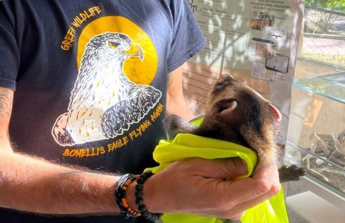 Hospital de Fauna Salvaje de Grefa