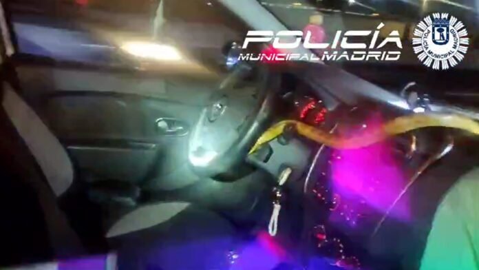 Sucesos.- Una gran serpiente se cuela en un coche y sorprende a su conductora cuando circulaba por la A-4