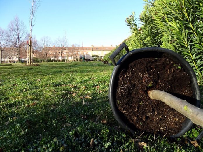 Alcalá.- El Ayuntamiento plantará 112 árboles de diversas especies en la zona deportiva de El Ensanche