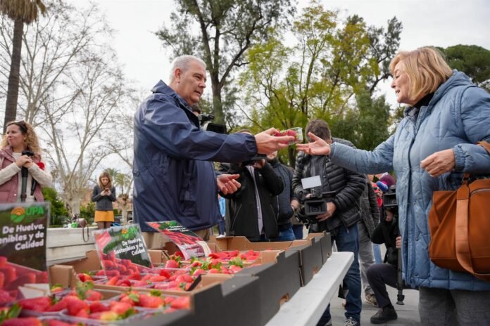 reparto de fresas sanas