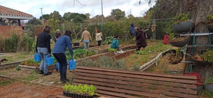 Día del Árbol Día del Árbol