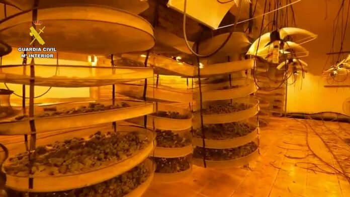 Cuatro detenidos e intervenidos 122 kilos de marihuana en una casa de Pinto Cuatro detenidos e intervenidos 122 kilos de marihuana en una casa de Pinto