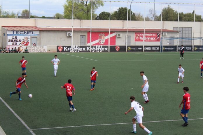 torneos futbol base torrejon