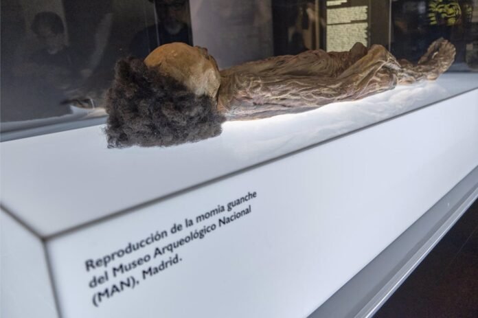 Coalición Canaria reclama al Ministerio de Cultura el traslado de la momia guanche de Madrid a Tenerife
