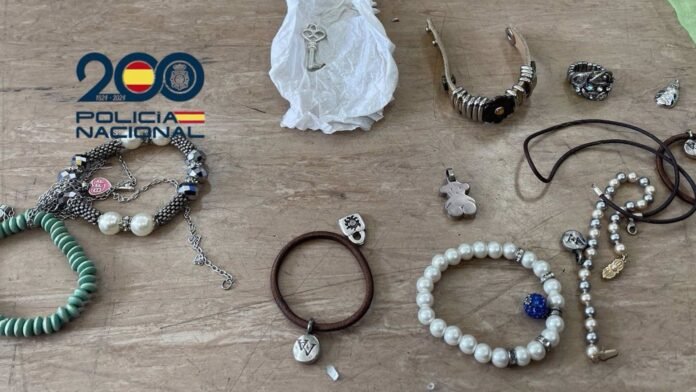 Policía Nacional detiene a once personas por robos en domicilios de Madrid Policía Nacional detiene a once personas por robos en domicilios de Madrid