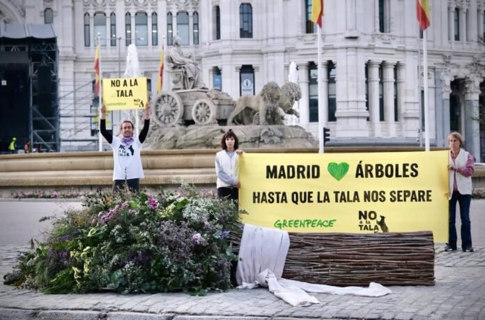greenpeace