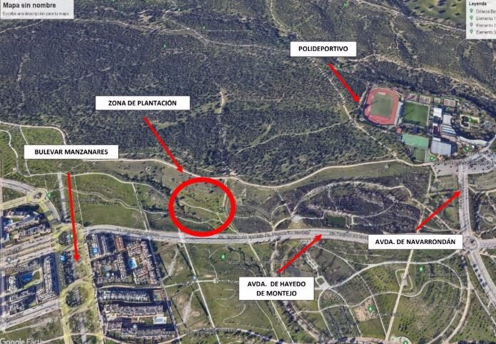 Los bebés nacidos en el municipio en 2023 tendrán un árbol en un espacio verde de la ciudad