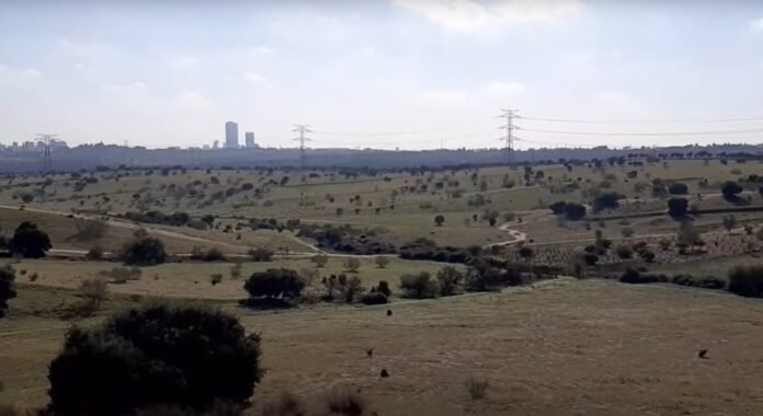 La plataforma contra desarrollo urbanístico Los Carriles organiza una marcha botánica para conocer flora La plataforma contra desarrollo urbanístico Los Carriles organiza una marcha botánica para conocer flora