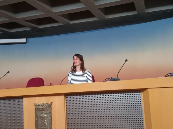 DECLARACIONES DE MAESTRE