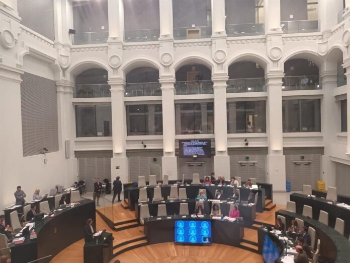 Maestre es expulsada del Pleno de Cibeles y todo el grupo municipal se marcha con ella