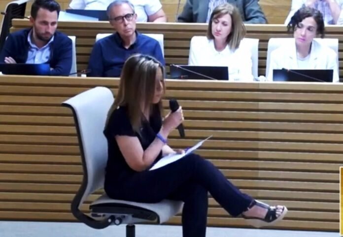 Madres de alumnos con autismo piden en el Pleno más aulas, profesionales y centros especiales