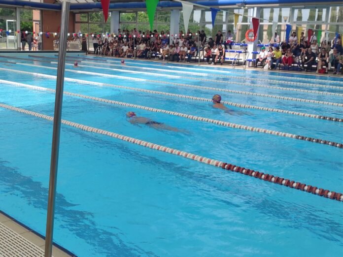 Más de 200 nadadores han participado en el campeonato infantil del municipio de Torrejón