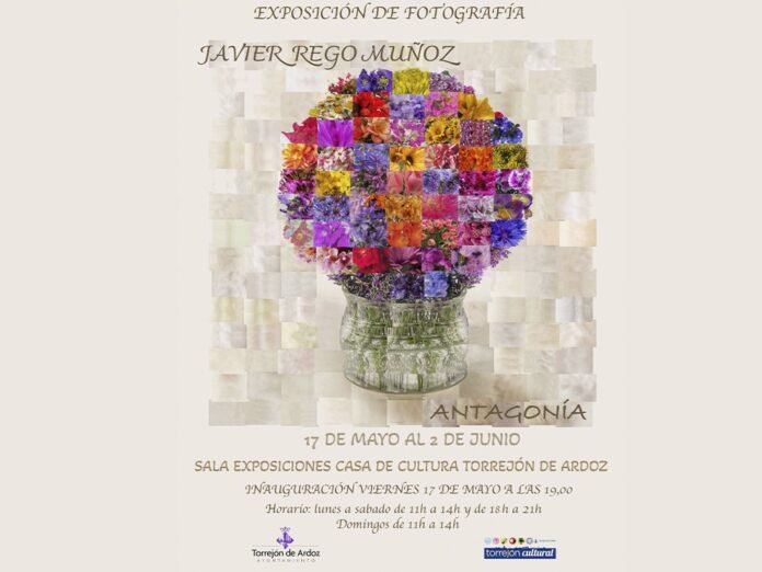 oferta expositiva de la ciudad oferta expositiva de la ciudad