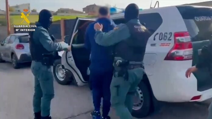 Detenidas 55 personas dedicadas al cultivo de cannabis en Madrid, Toledo y Guadalajara Detenidas 55 personas dedicadas al cultivo de cannabis en Madrid, Toledo y Guadalajara