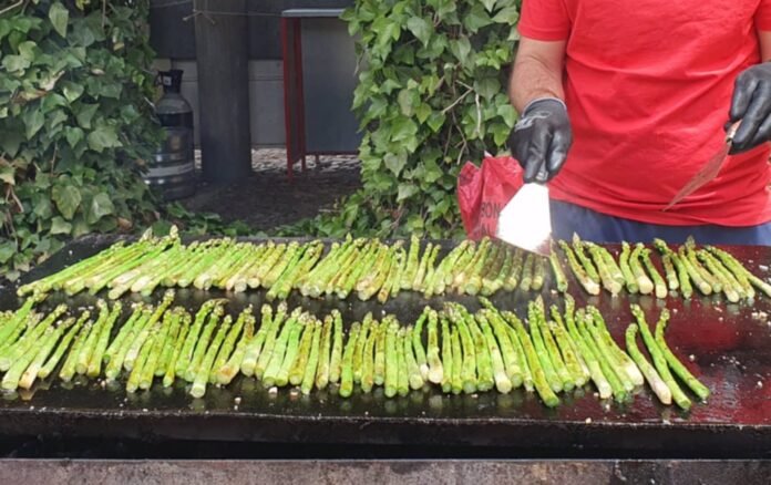 Cientos de kilos de espárragos se degustarán a la plancha el sábado en la XXVI Fiesta del Espárrago Cientos de kilos de espárragos se degustarán a la plancha el sábado en la XXVI Fiesta del Espárrago