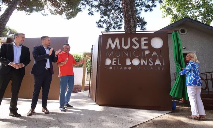 Collado Villalba.- Abre sus puertas el Museo Municipal del Bonsái, espacio único en la comarca