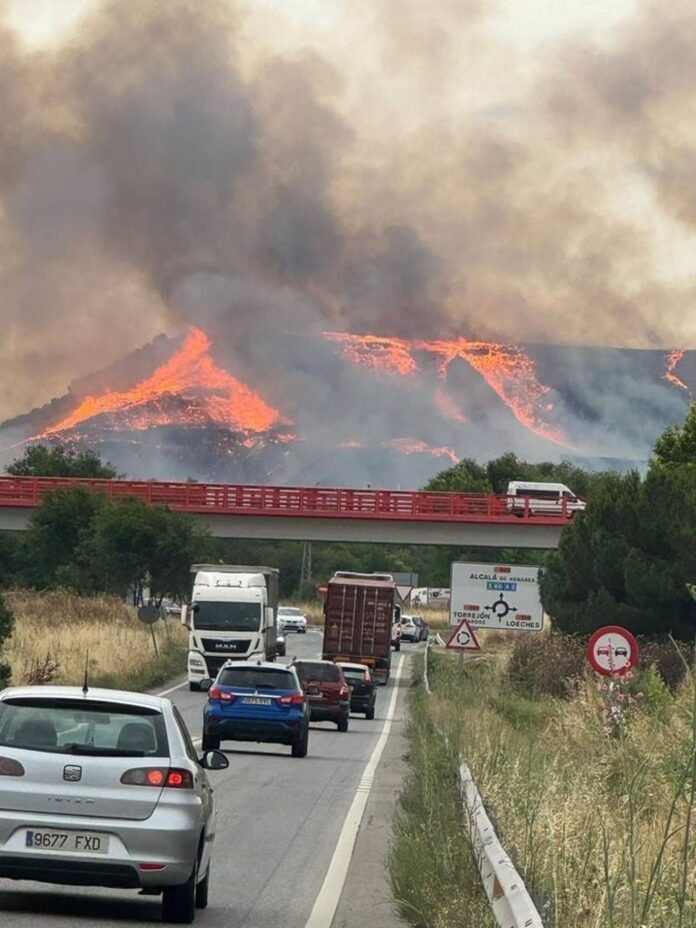 Importante incendio forestal en el Cerro del Viso