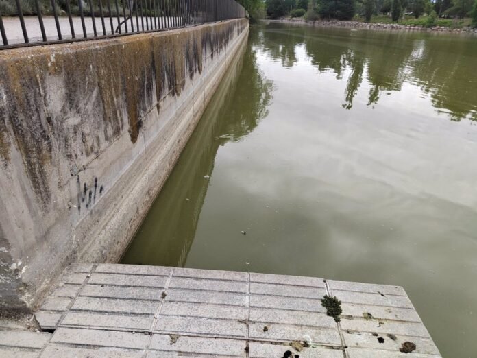 Más Madrid reclama medidas urgentes para que el lago de El Soto tenga el aporte de agua necesario Más Madrid reclama medidas urgentes para que el lago de El Soto tenga el aporte de agua necesario