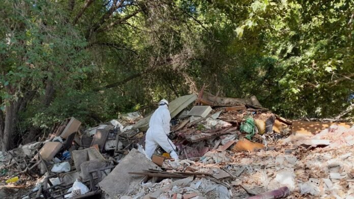 El río Jarama recupera el cauce bajo y medio a su paso por Coslada y San Fernando de Henares El río Jarama recupera el cauce bajo y medio a su paso por Coslada y San Fernando de Henares