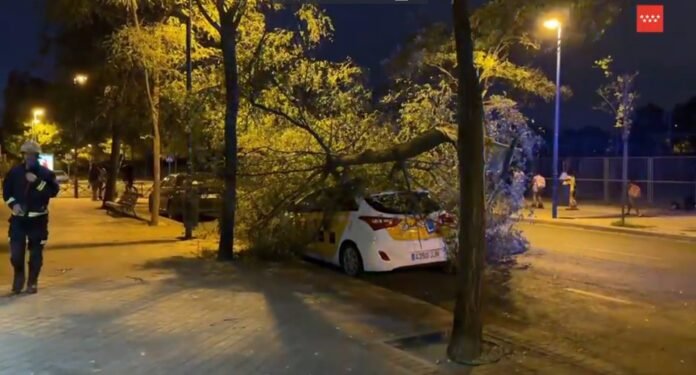 Sucesos.- El 112 atiende 323 incidencias relacionadas con el fuerte viento del lunes en la Comunidad de Madrid El 112 atiende 323 incidencias relacionadas con el fuerte viento del lunes en la Comunidad de Madrid