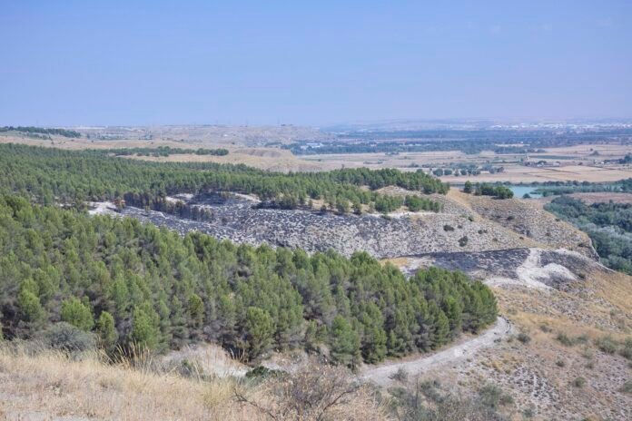 Estabilizado el incendio de Rivas y los vecinos desalojados ya han vuelto a sus casas